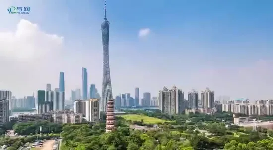 Candor Good Quality LED Growth Light Plant Vegetable Growth Strip Light with Ce&RoHS