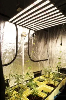 Гидропоника полного спектра для выращивания комнатных растений, водонепроницаемая лампа для выращивания растений, 2019, квантовая индукционная светодиодная лампа для выращивания растений